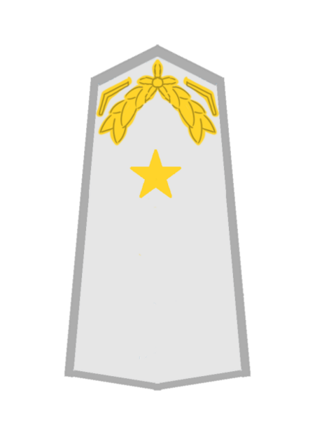 檔案:USA AF Brigadegeneral.png