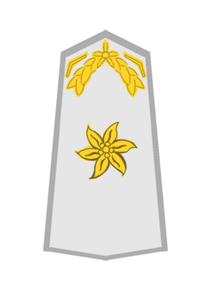 USA AF SSergeant.png